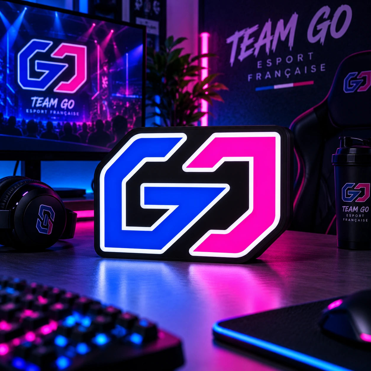 Lampe LED Team GO RGB – Logo Esport Français