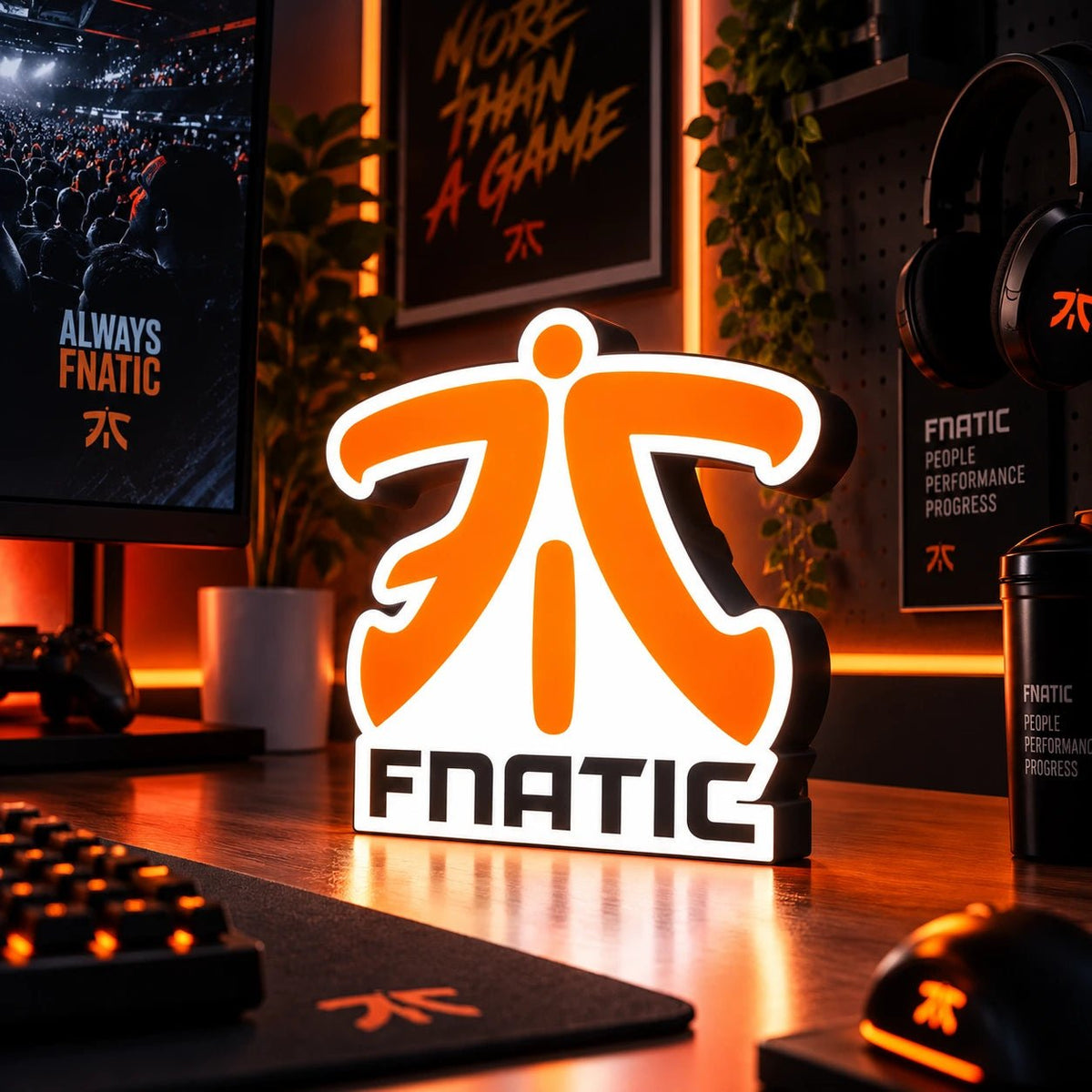 Lampe LED Fnatic RGB – Esport & Gaming - LampeGeek