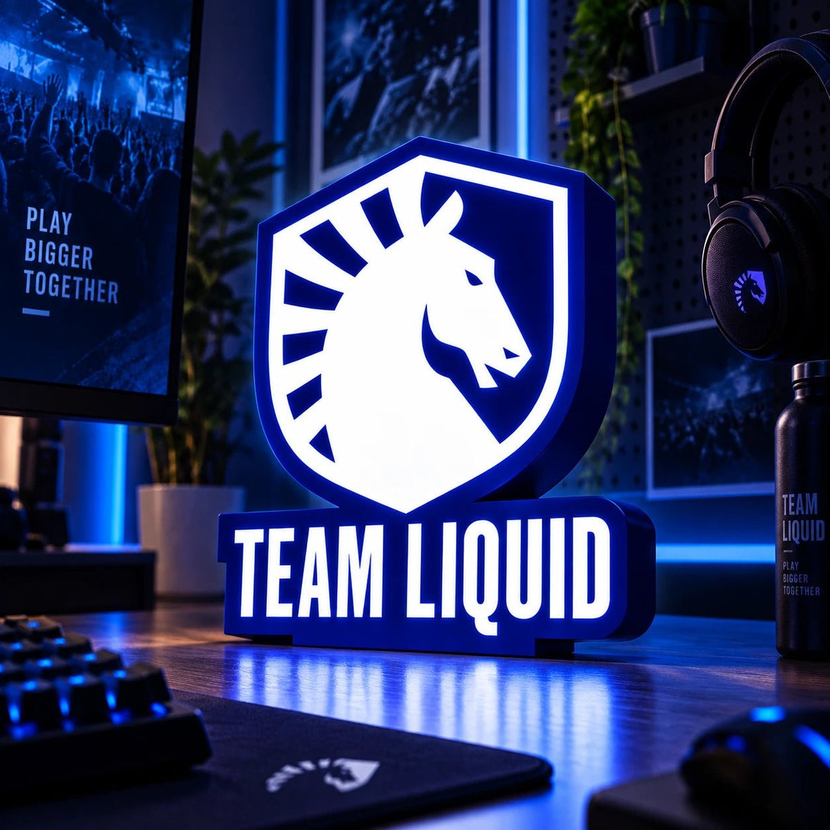 Lampe LED Team Liquid RGB – Esport & Gaming - LampeGeek